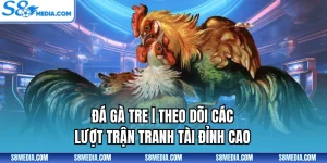 Đá Gà Tre | Theo Dõi Các Lượt Trận Tranh Tài Đỉnh Cao