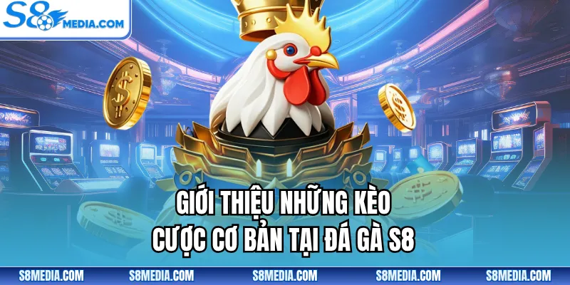 Giới thiệu những kèo cược cơ bản tại đá gà S8