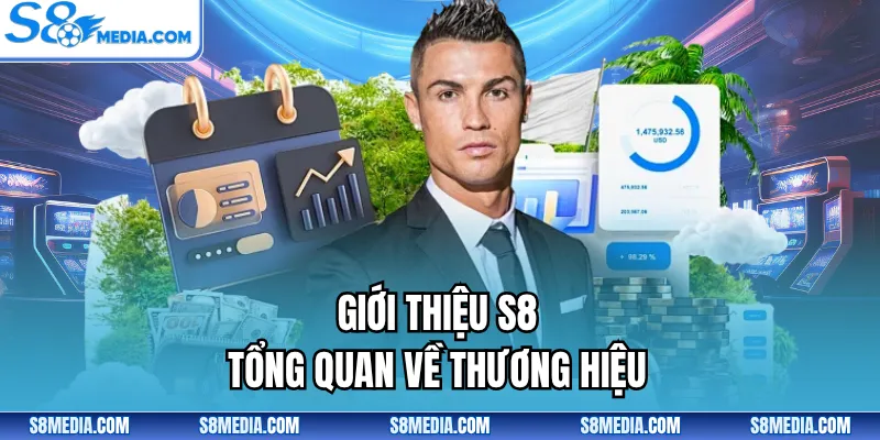 Giới thiệu S8 tổng quan về thương hiệu