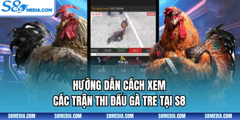 Hướng dẫn cách xem các trận thi đấu gà tre tại S8